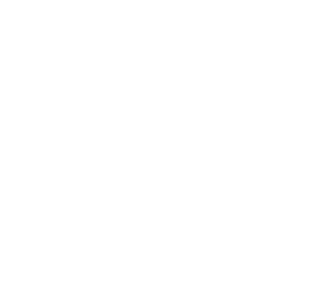 Aristo Homes Realty L.L.C.